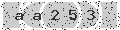 verify code
