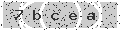 verify code