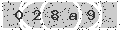 verify code