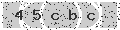 verify code