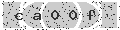 verify code