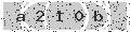 verify code