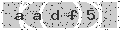 verify code