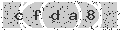 verify code