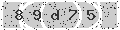 verify code