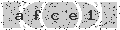 verify code