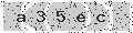 verify code