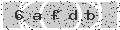 verify code