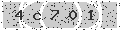 verify code