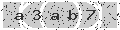 verify code