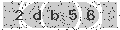 verify code