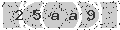 verify code