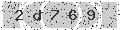 verify code