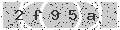 verify code