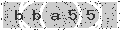 verify code