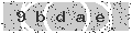verify code