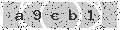 verify code