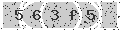 verify code