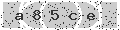 verify code