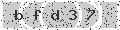 verify code
