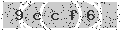 verify code