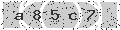 verify code