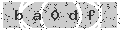 verify code