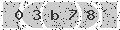 verify code