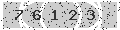 verify code