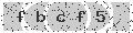 verify code