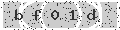 verify code