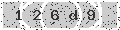 verify code