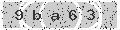 verify code
