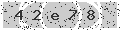 verify code