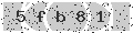 verify code