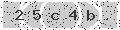 verify code