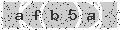 verify code