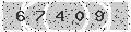 verify code