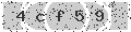 verify code