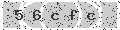 verify code