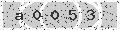 verify code