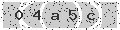 verify code