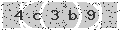 verify code