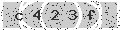 verify code