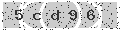 verify code
