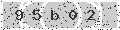 verify code
