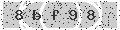 verify code