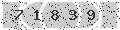verify code