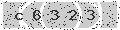 verify code