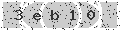 verify code